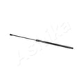 Amortizor haion Ashika ZSAL0006