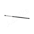 Amortizor haion Ashika ZSA04038