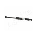 Amortizor haion Ashika ZSA06042