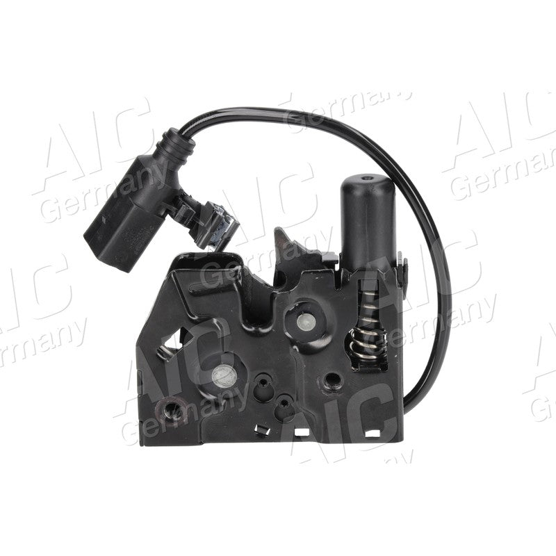 Broasca capota AIC 75544