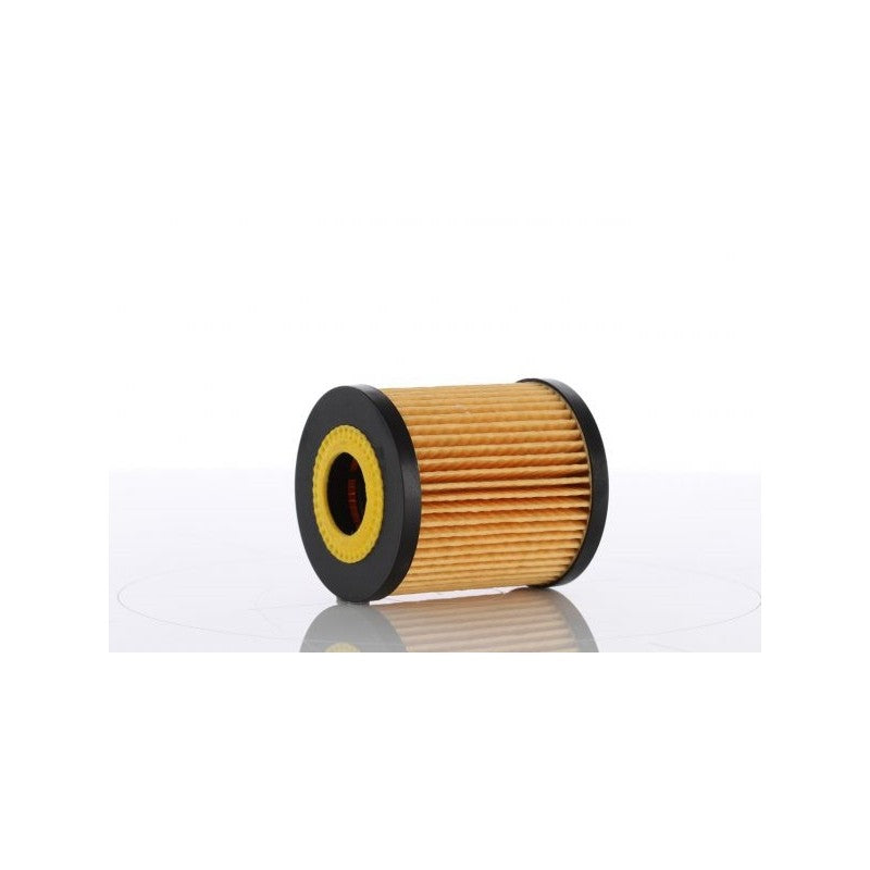 Filtru ulei MTR 12138563