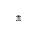 Filtru combustibil MTR 12138338