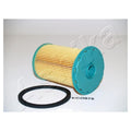 Filtru combustibil Ashika 30-ECO075