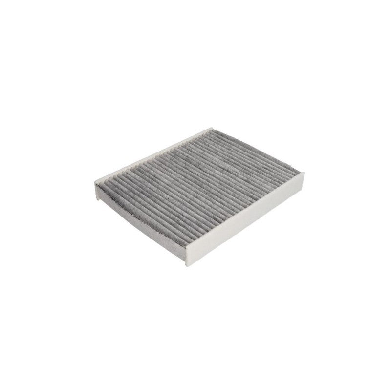 Filtru habitaclu MTR 12902999