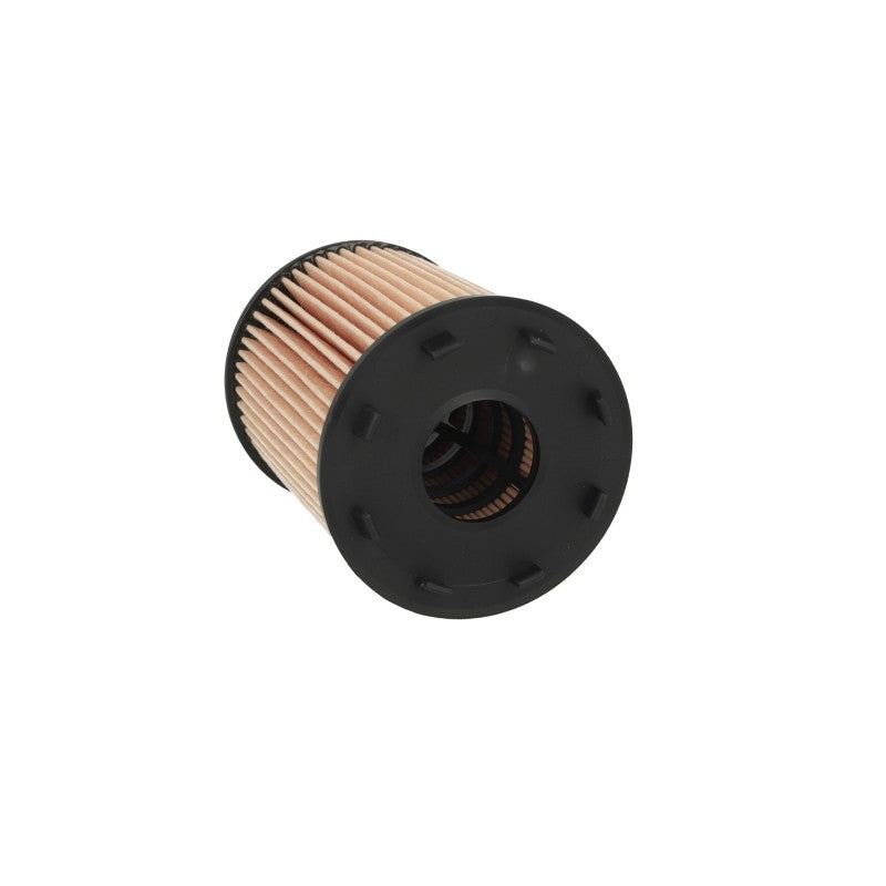 Filtru ulei MTR 12138316