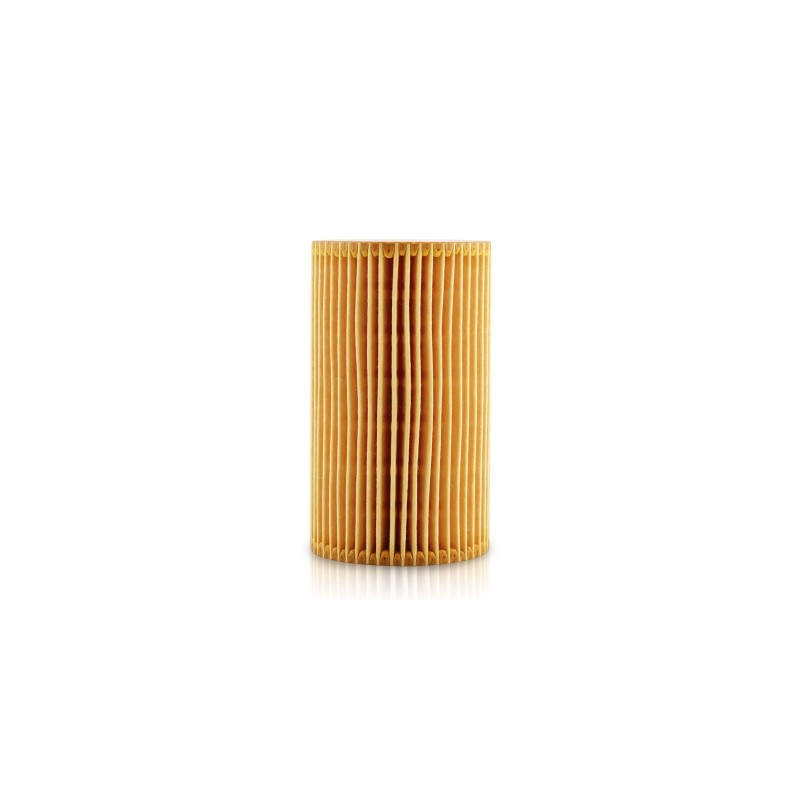 Filtru ulei MTR 12138264