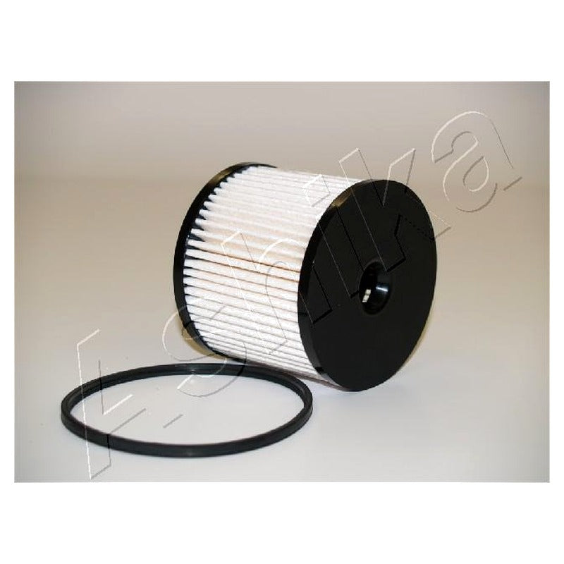 Filtru combustibil Ashika 30-ECO019