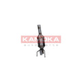 Filtru de particule KAMOKA 8010008