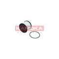 Filtru combustibil KAMOKA F325201