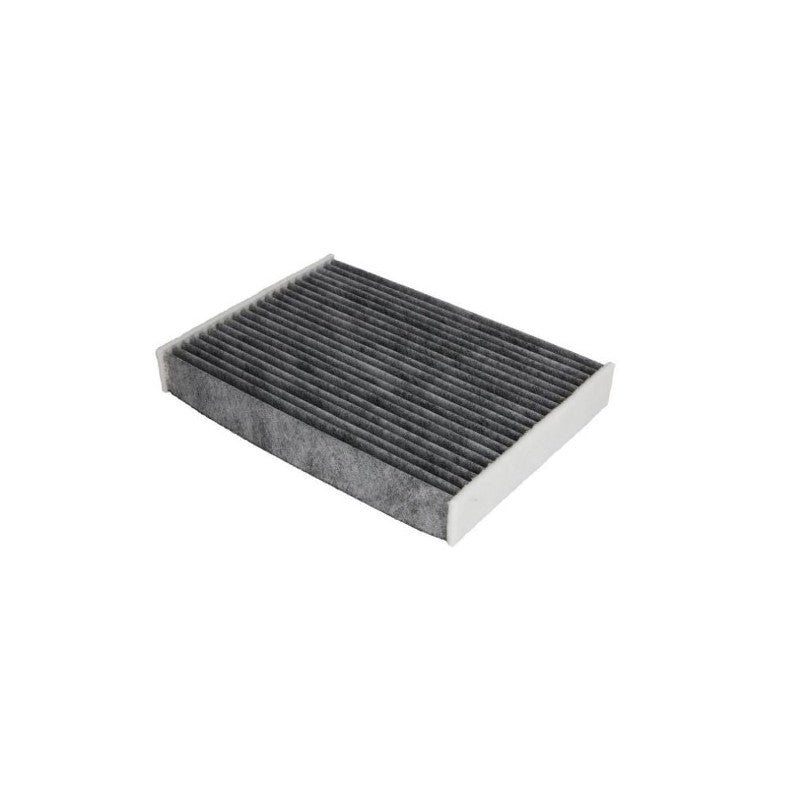 Filtru habitaclu MTR 12902988