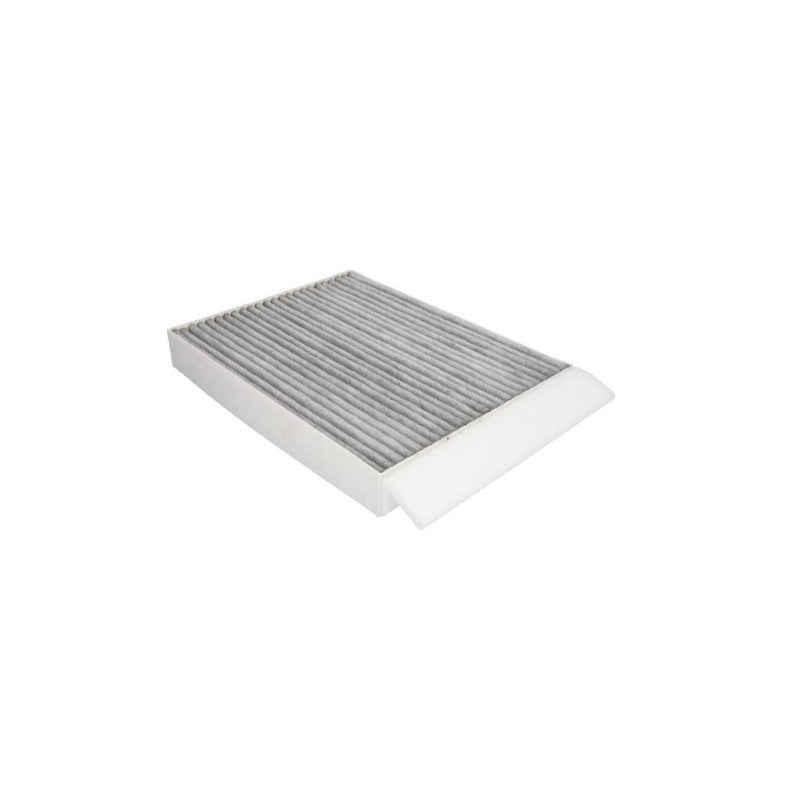 Filtru habitaclu MTR 12903000