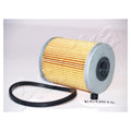 Filtru combustibil Ashika 30-ECO015