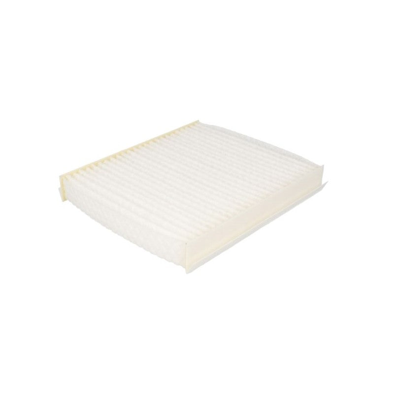 Filtru habitaclu MTR 12111813