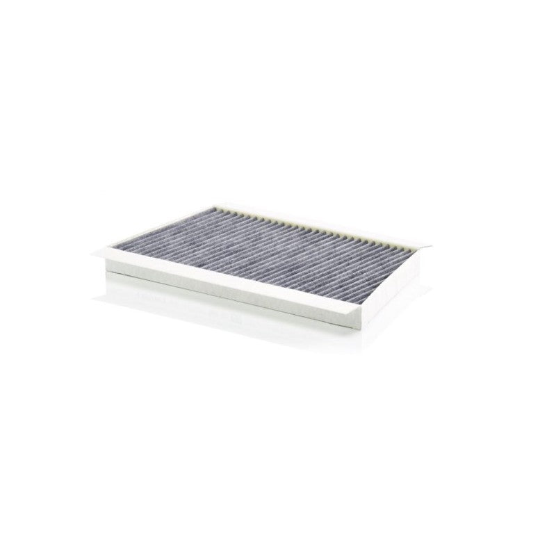 Filtru habitaclu MTR 12902998