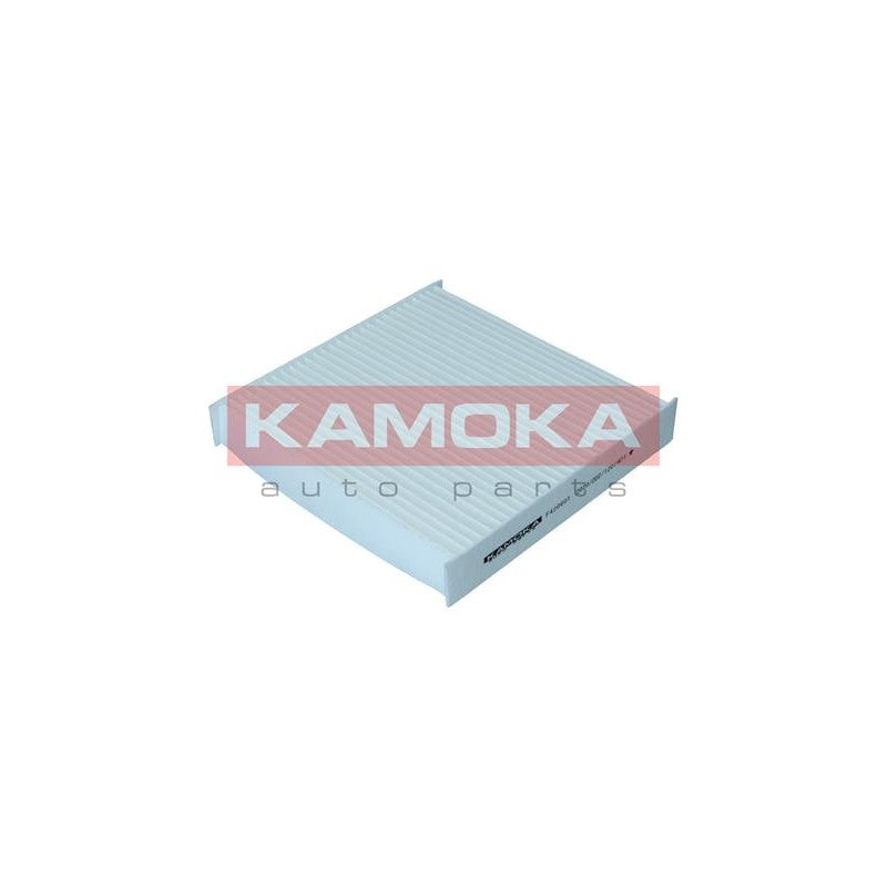Filtru habitaclu KAMOKA F420601