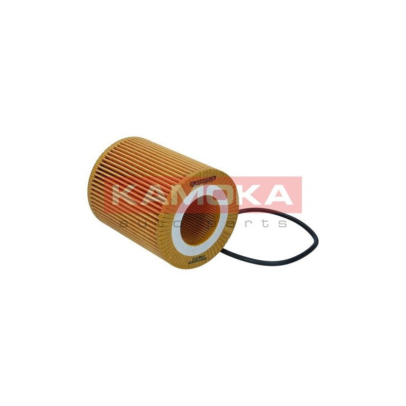 Filtru ulei KAMOKA F123801