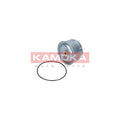 Filtru ulei KAMOKA F115001