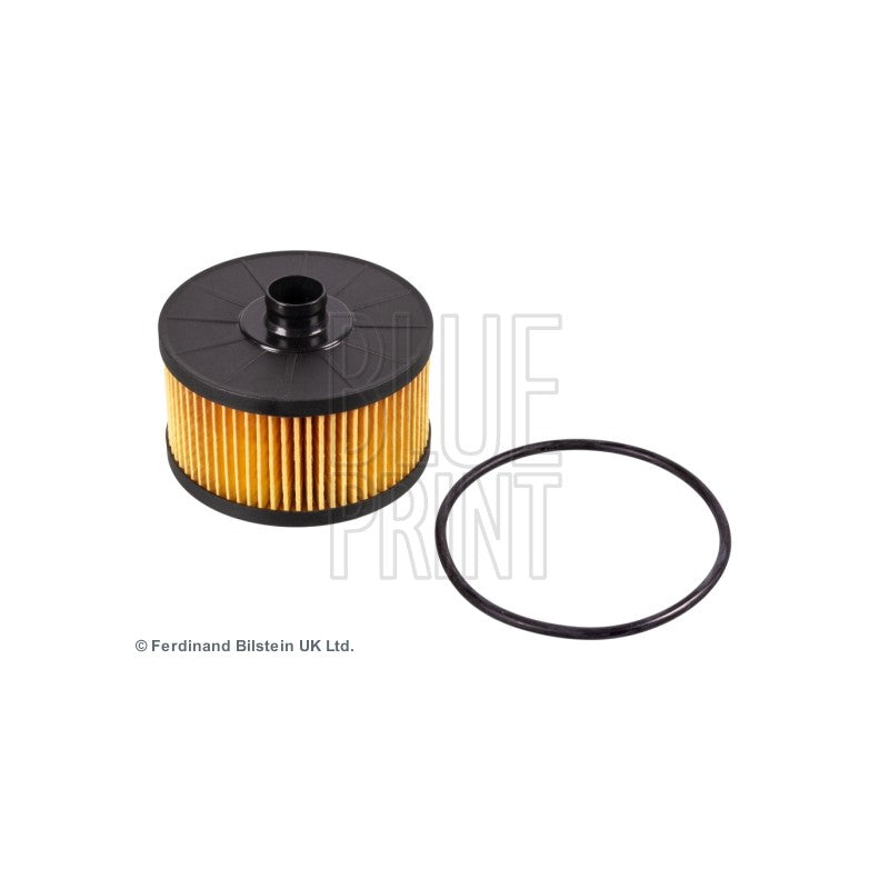 Filtru ulei BLUE PRINT ADN12134