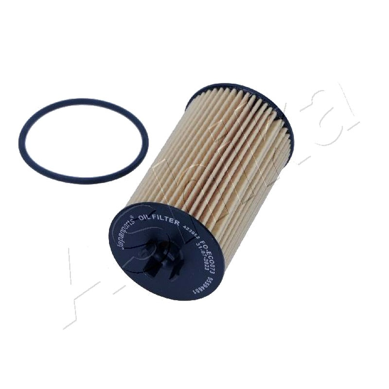 Filtru ulei Ashika 10-ECO073