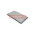 Filtru habitaclu KAMOKA F408601