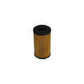 Filtru combustibil MTR 12135350