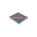 Filtru habitaclu KAMOKA F522501