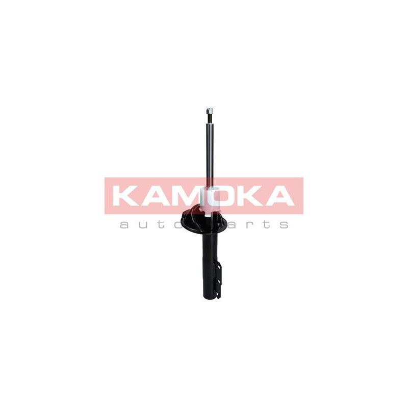 Amortizor KAMOKA 2000223
