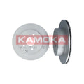 Disc frana Ashika 61-01-158C