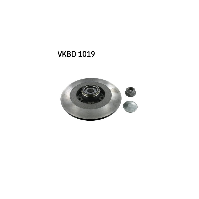 Disc frana SKF VKBD 1019