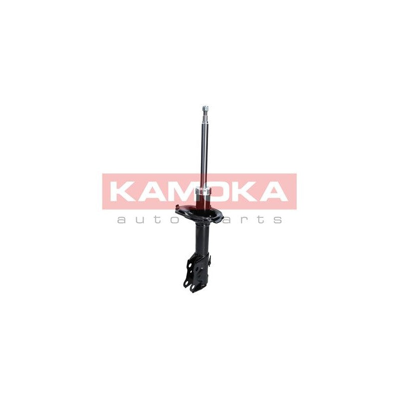 Amortizor KAMOKA 2000199