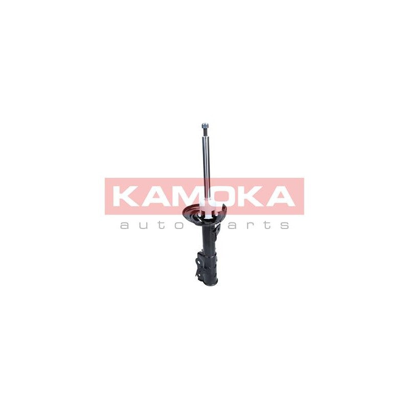 Amortizor KAMOKA 2000488