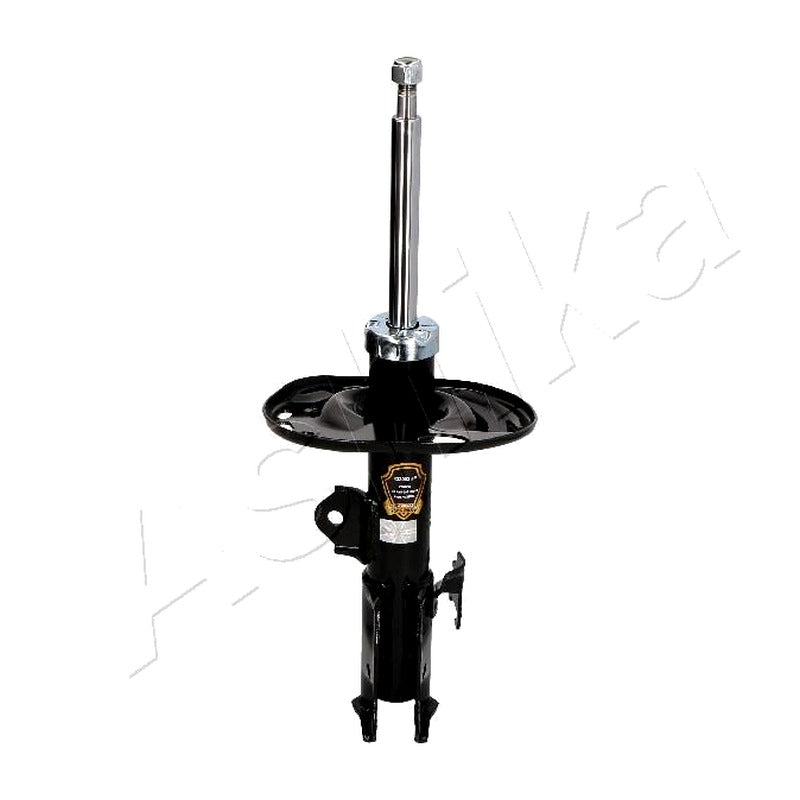 Amortizor Ashika MA-22120