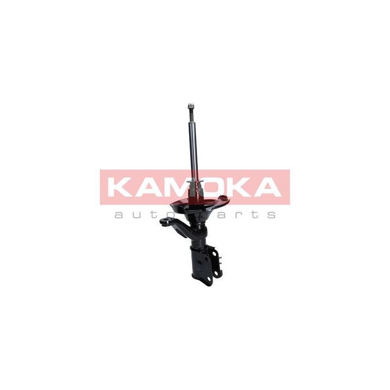 Amortizor KAMOKA 2000113