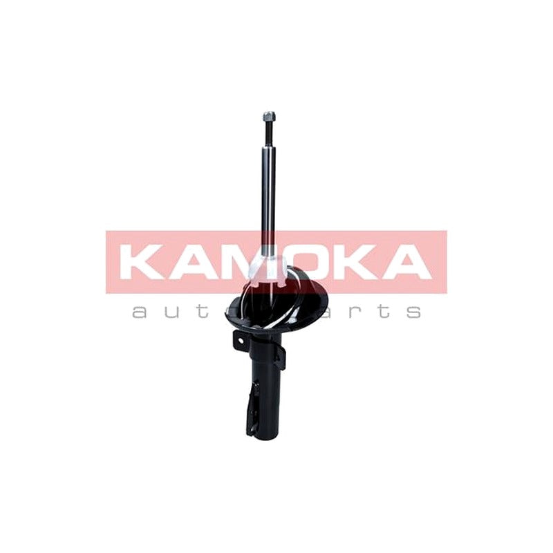 Amortizor KAMOKA 2000364