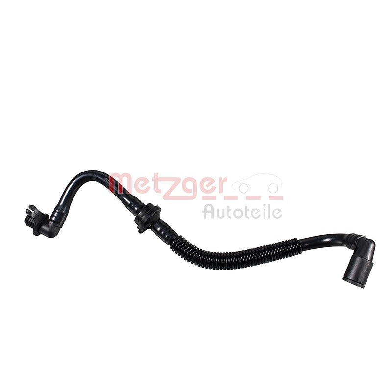 Frana METZGER 2180037