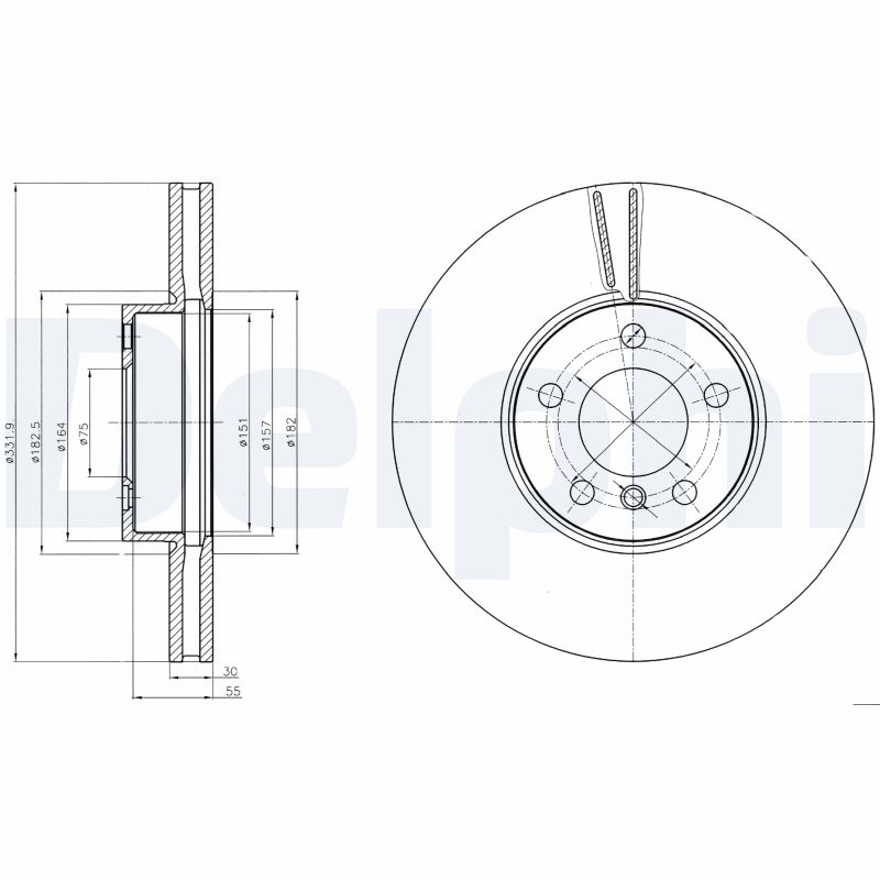Disc frana DELPHI BG9061