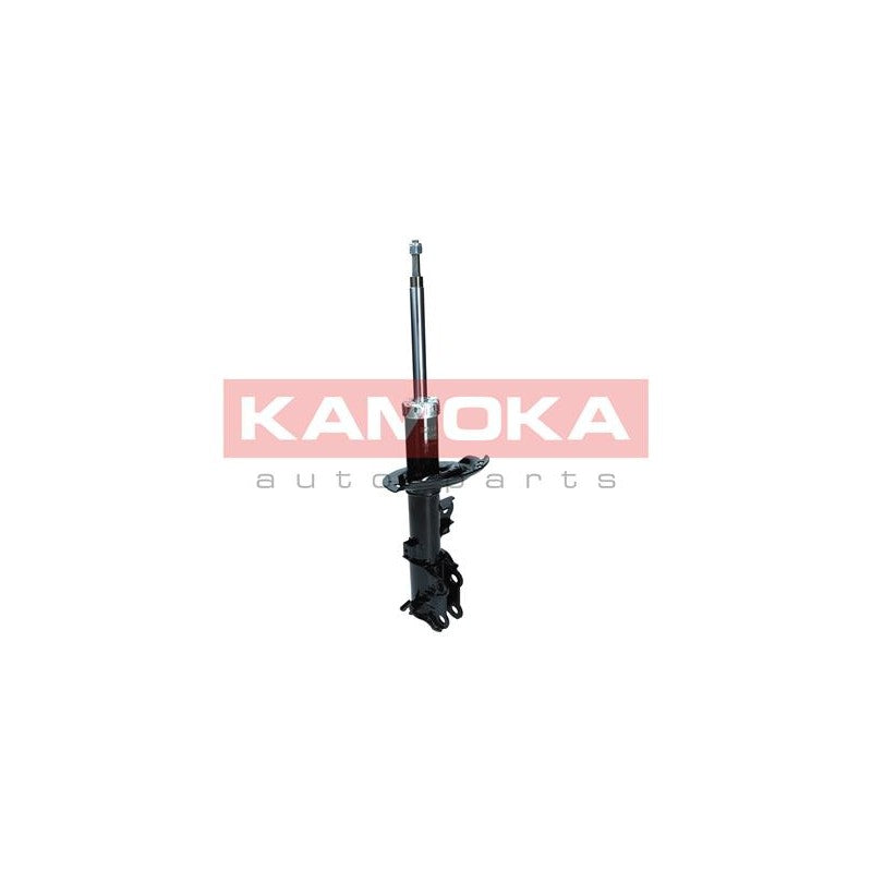 Amortizor KAMOKA 2000497