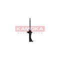 Amortizor KAMOKA 2000253