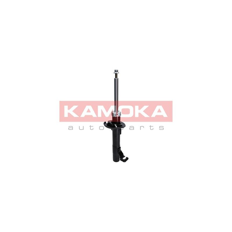 Amortizor KAMOKA 2000253