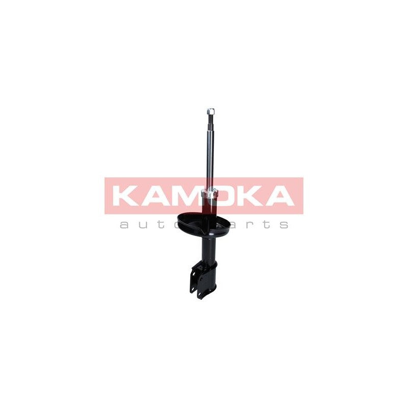 Amortizor KAMOKA 2000489