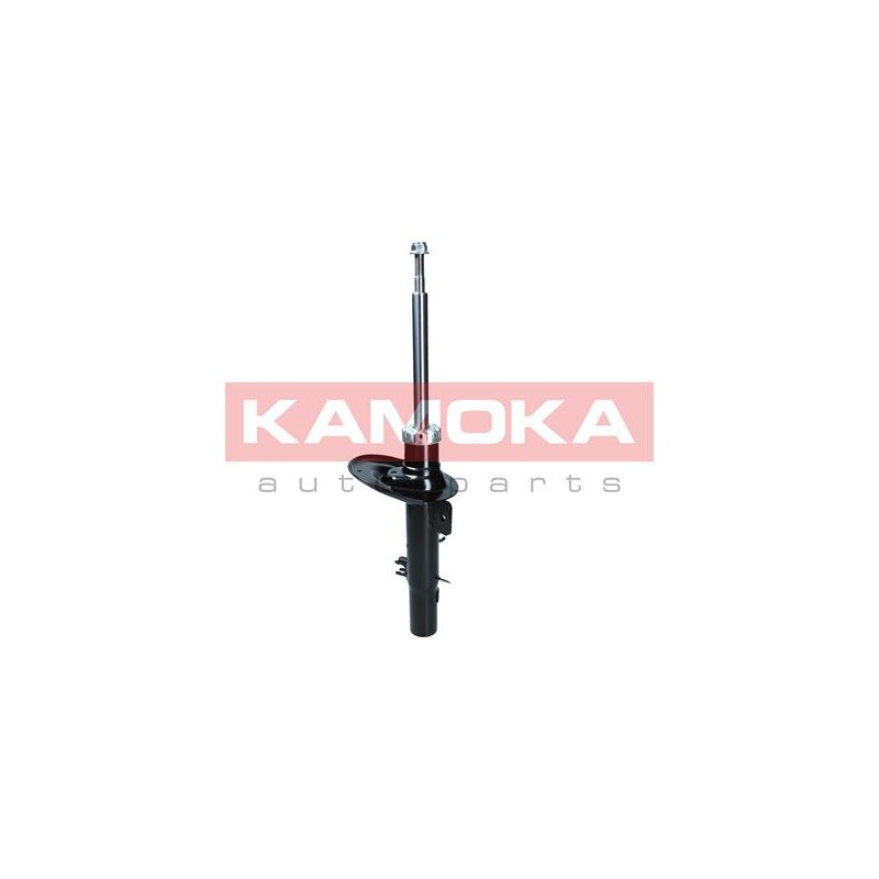 Amortizor KAMOKA 2000187