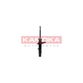 Amortizor KAMOKA 2000183