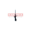 Amortizor KAMOKA 2000347