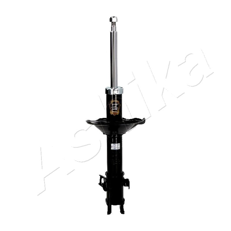 Amortizor Ashika MA-70042
