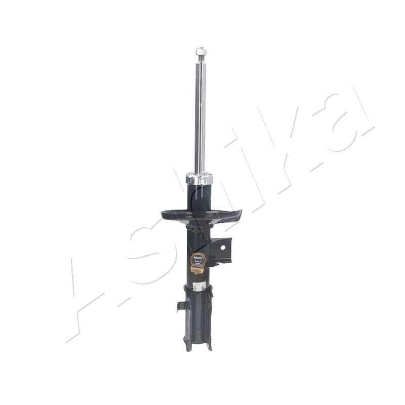 Amortizor Ashika MA-80001