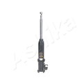 Amortizor Ashika MA-80002