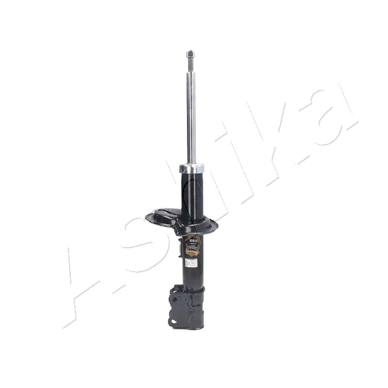 Amortizor Ashika MA-80015