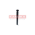 Amortizor KAMOKA 2001223