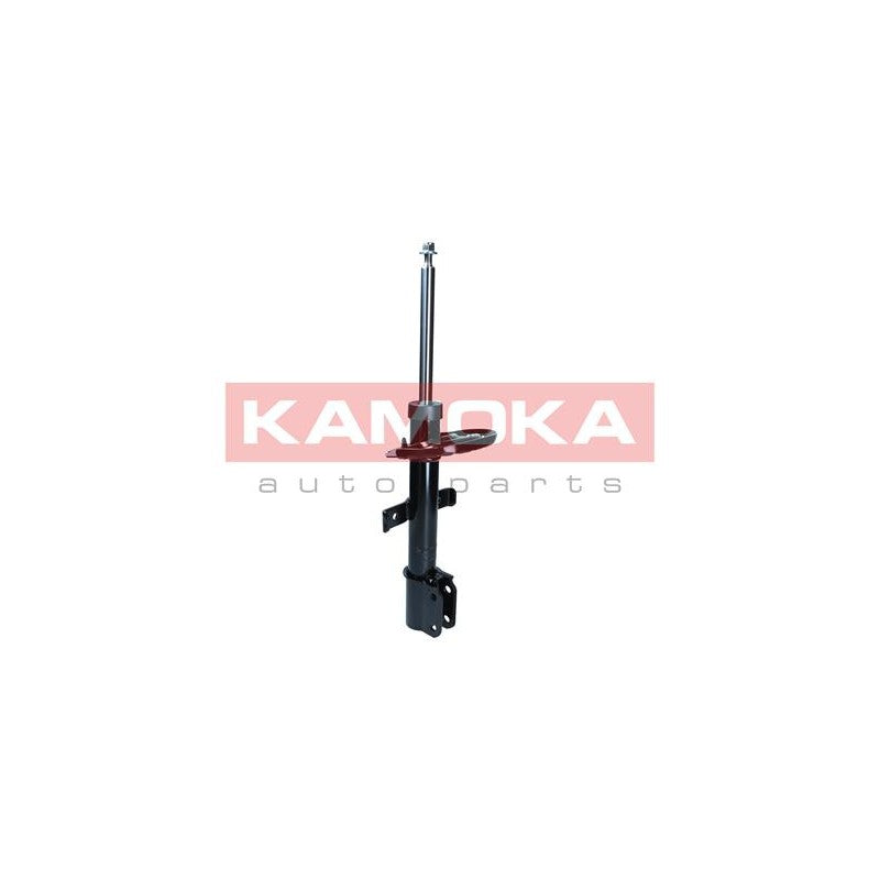 Amortizor KAMOKA 2000193