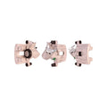 Etrier frana DRI 4285410